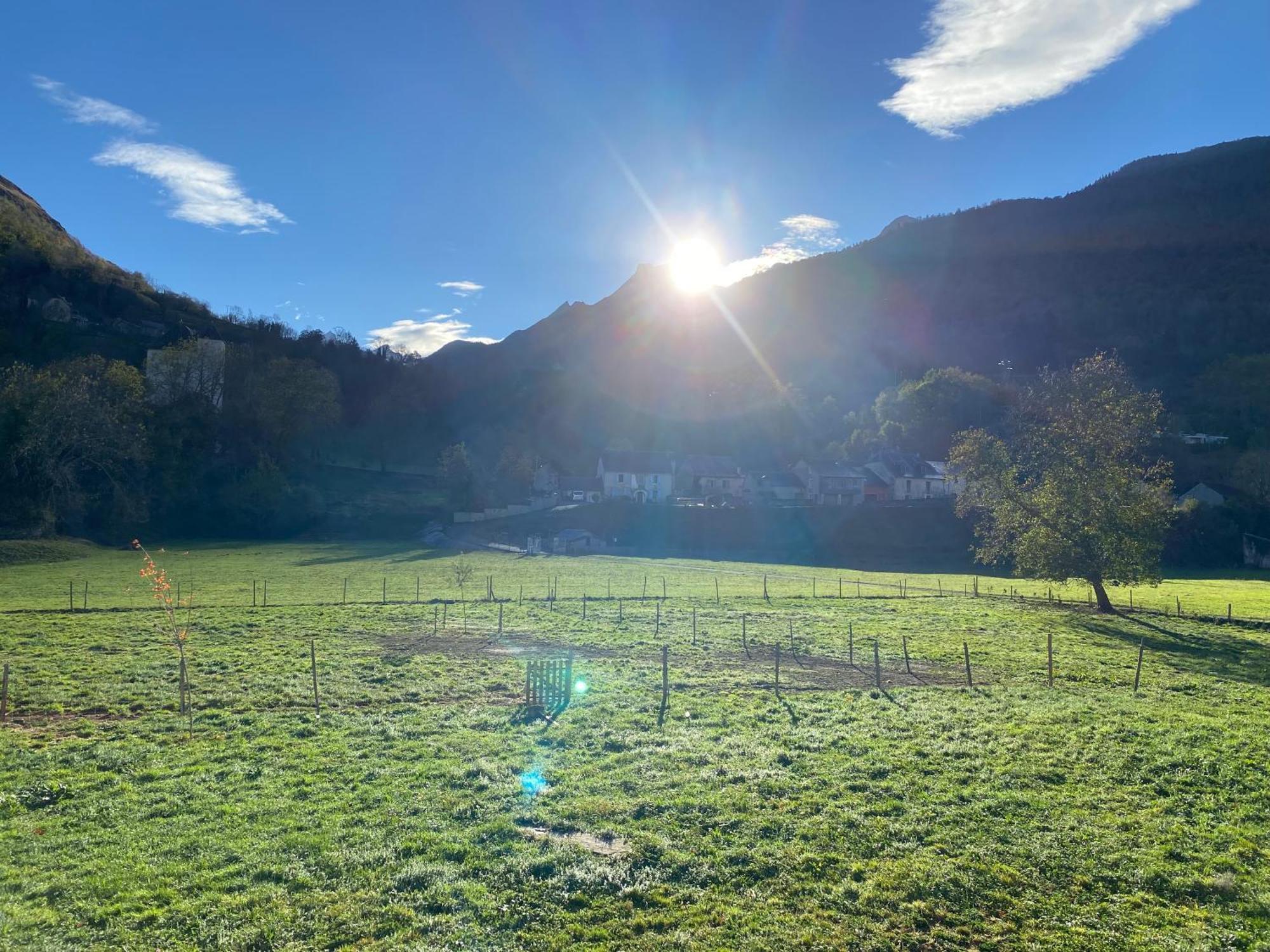 Ferienwohnung Au Bord Du Gave Laruns Exterior foto